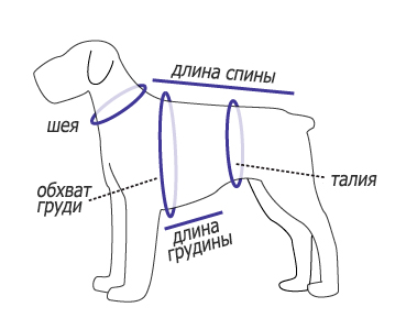 измерение размеров собаки для одежды